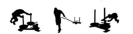 MORGAN V2 ALL PURPOSE POWER SLED   H-HARNESS