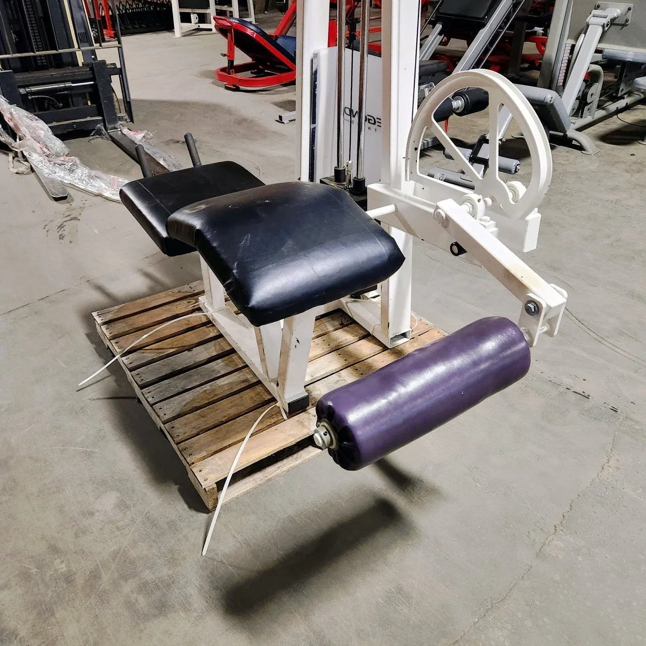 Refurbished Legend Fitness Prone Leg Curl Commercial Grade